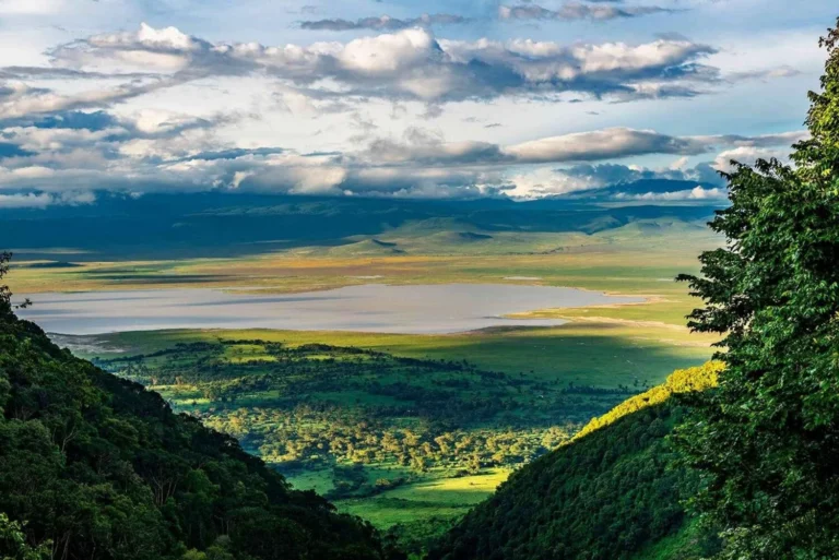 ngorongoro