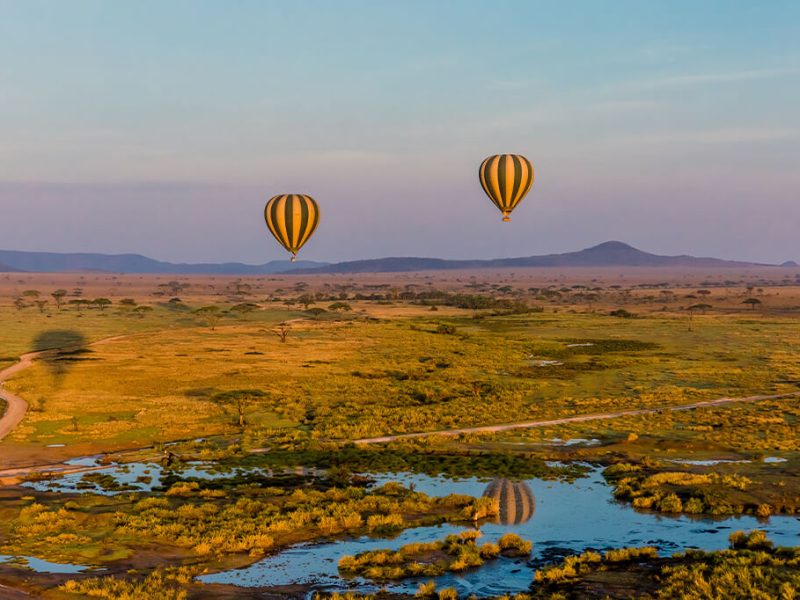 Balloon Serengeti
