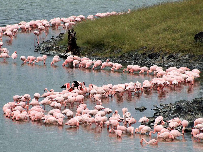 arusha-national-mommela