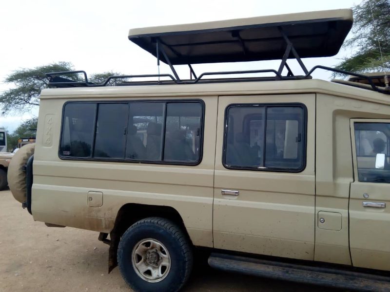 car for safari