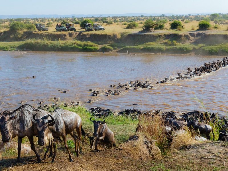 mara crossing river