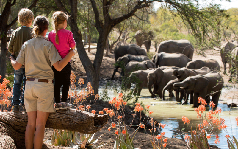 tanzania family safari