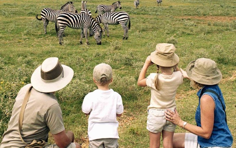 tanzania family safari